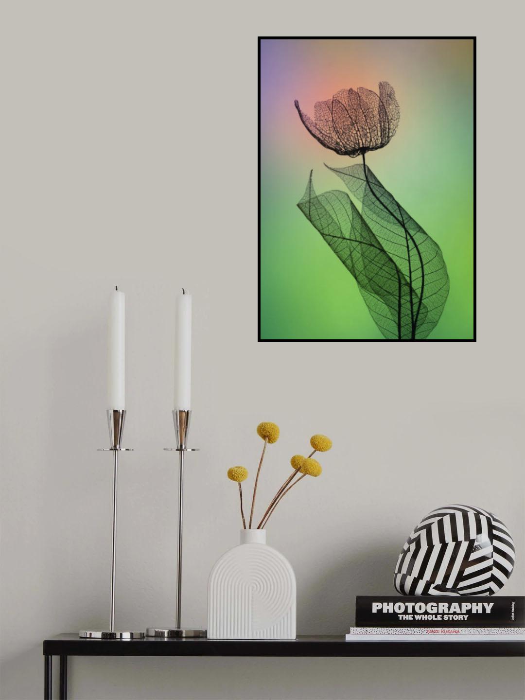 Limber Poster och Canvastavla