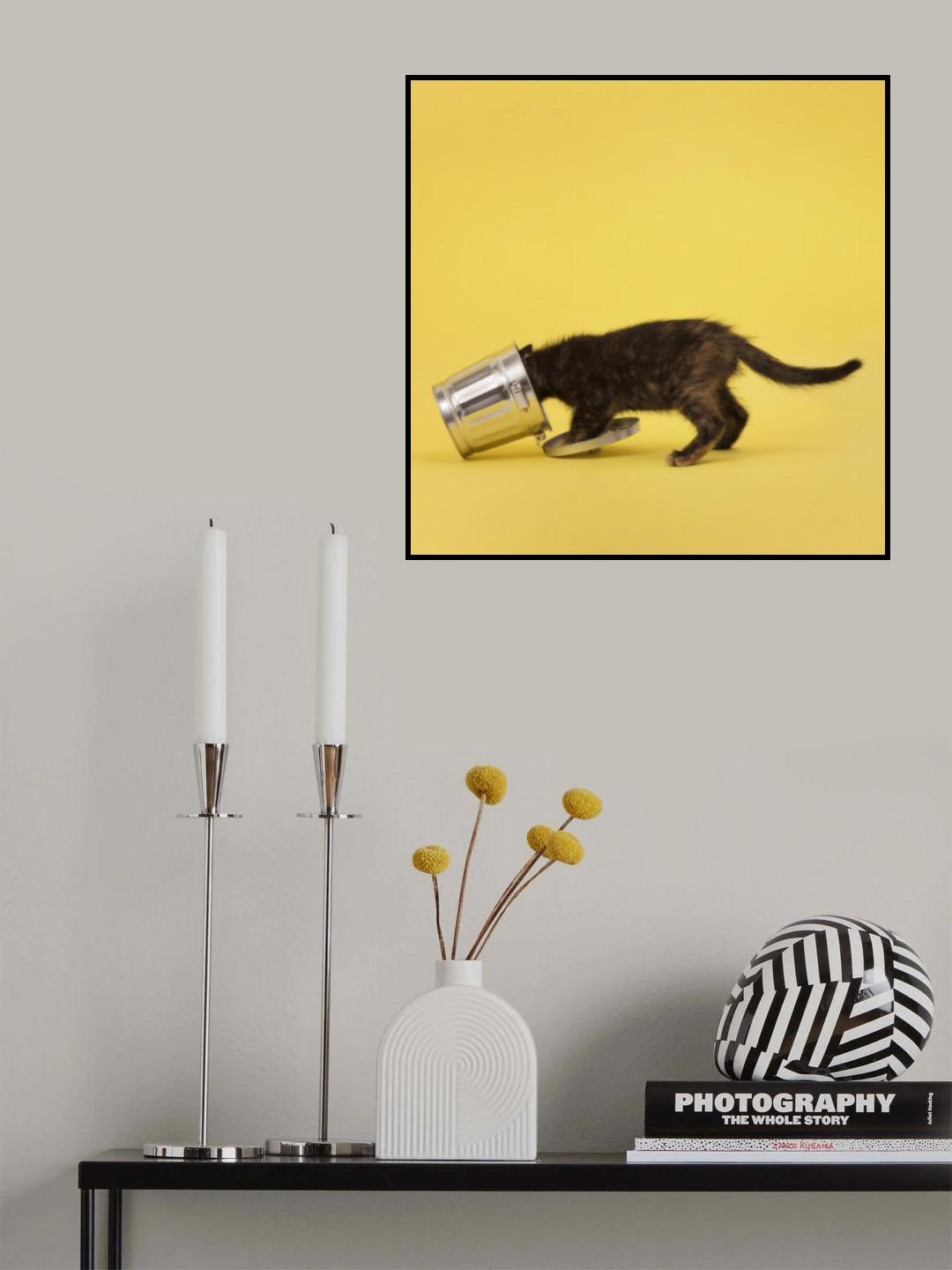 Smelly Cat.1 Poster och Canvastavla