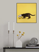 Smelly Cat.1 Poster och Canvastavla