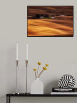 Farmhouse on Golden Fields Poster och Canvastavla