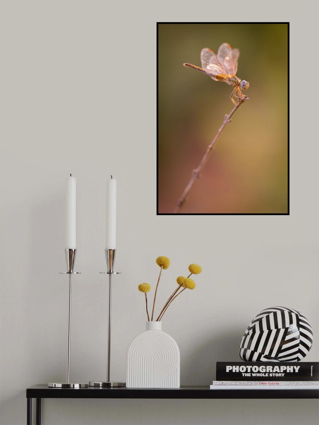 Dragonfly Poster och Canvastavla