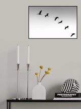 Cranes Poster och Canvastavla