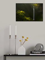 Morning Stream Poster och Canvastavla