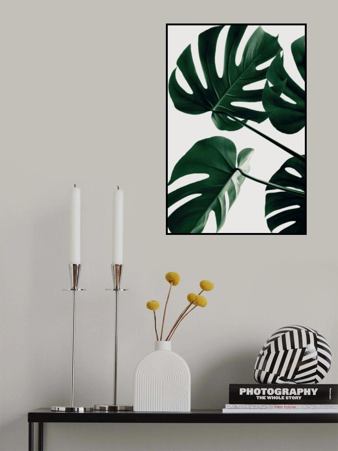 Monstera Natural 43 Poster och Canvastavla