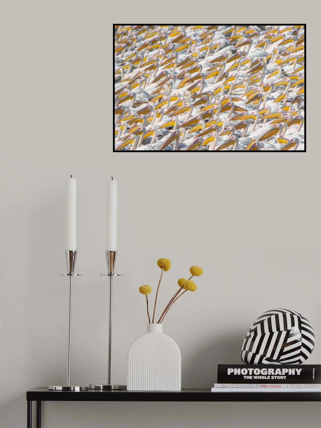Parade Pelican Poster och Canvastavla