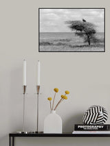 Waiting Poster och Canvastavla