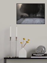 Poster och Canvastavla