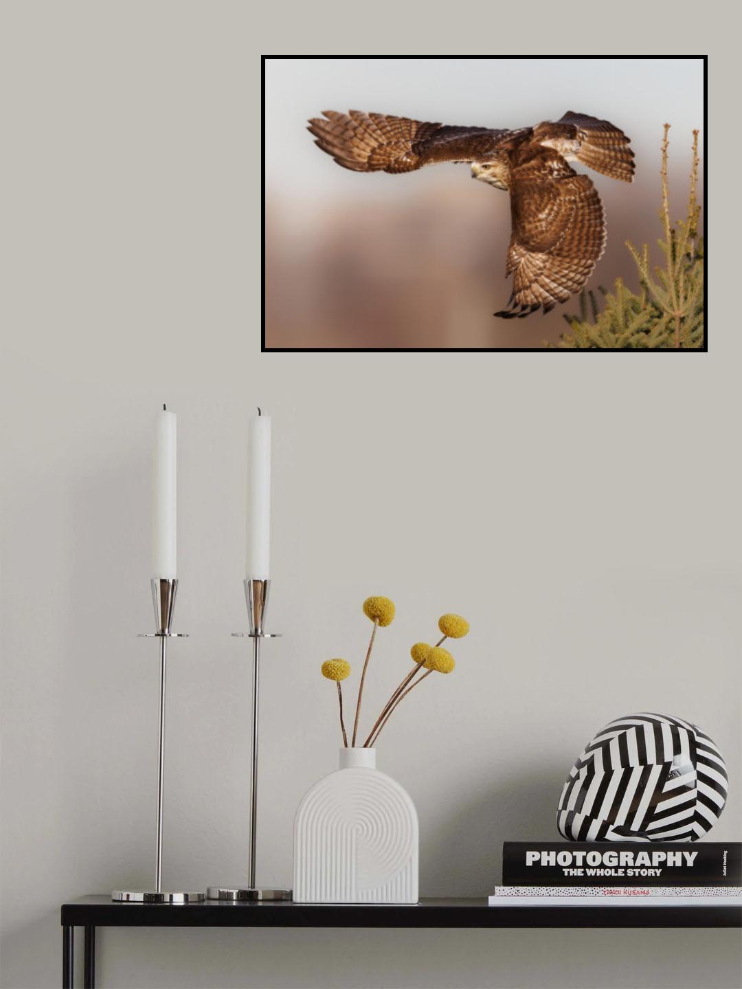 Fiy with wings Poster och Canvastavla