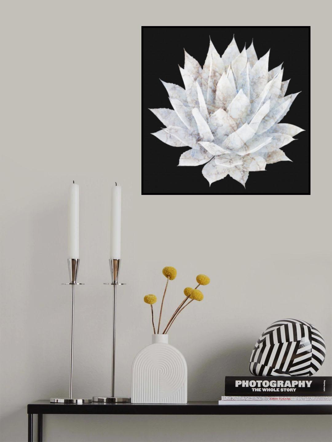 Agave 05 Poster och Canvastavla
