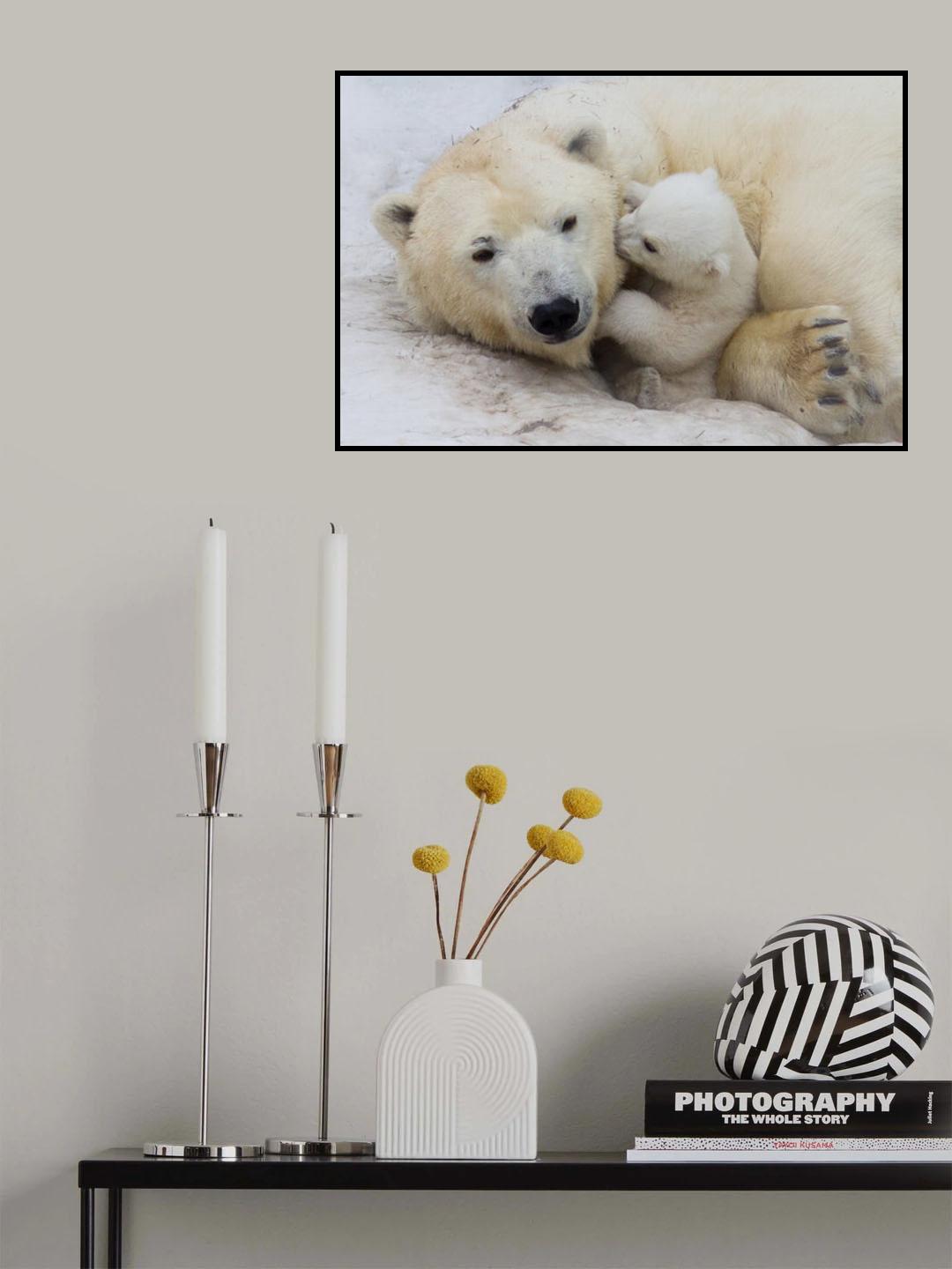 Polar bear with mom Poster och Canvastavla