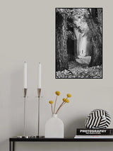the path Poster och Canvastavla