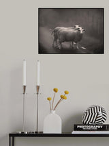 Lost on the way Poster och Canvastavla