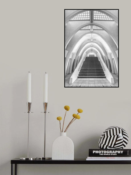 Calatrava lines Poster och Canvastavla