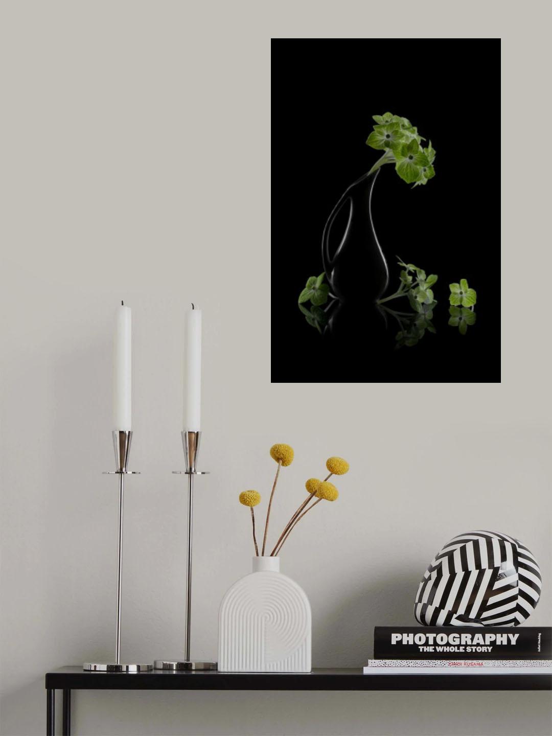 Green hydrangeas Poster och Canvastavla