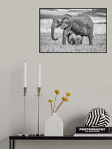 Staying close and protected Poster och Canvastavla