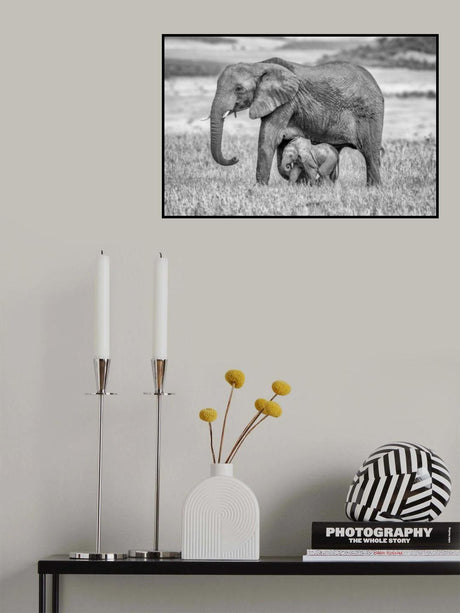 Staying close and protected Poster och Canvastavla