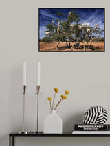 goats on the argan tree Poster och Canvastavla