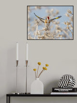 Goldfinch - Parachute Poster och Canvastavla
