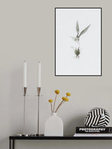 Tern Poster och Canvastavla