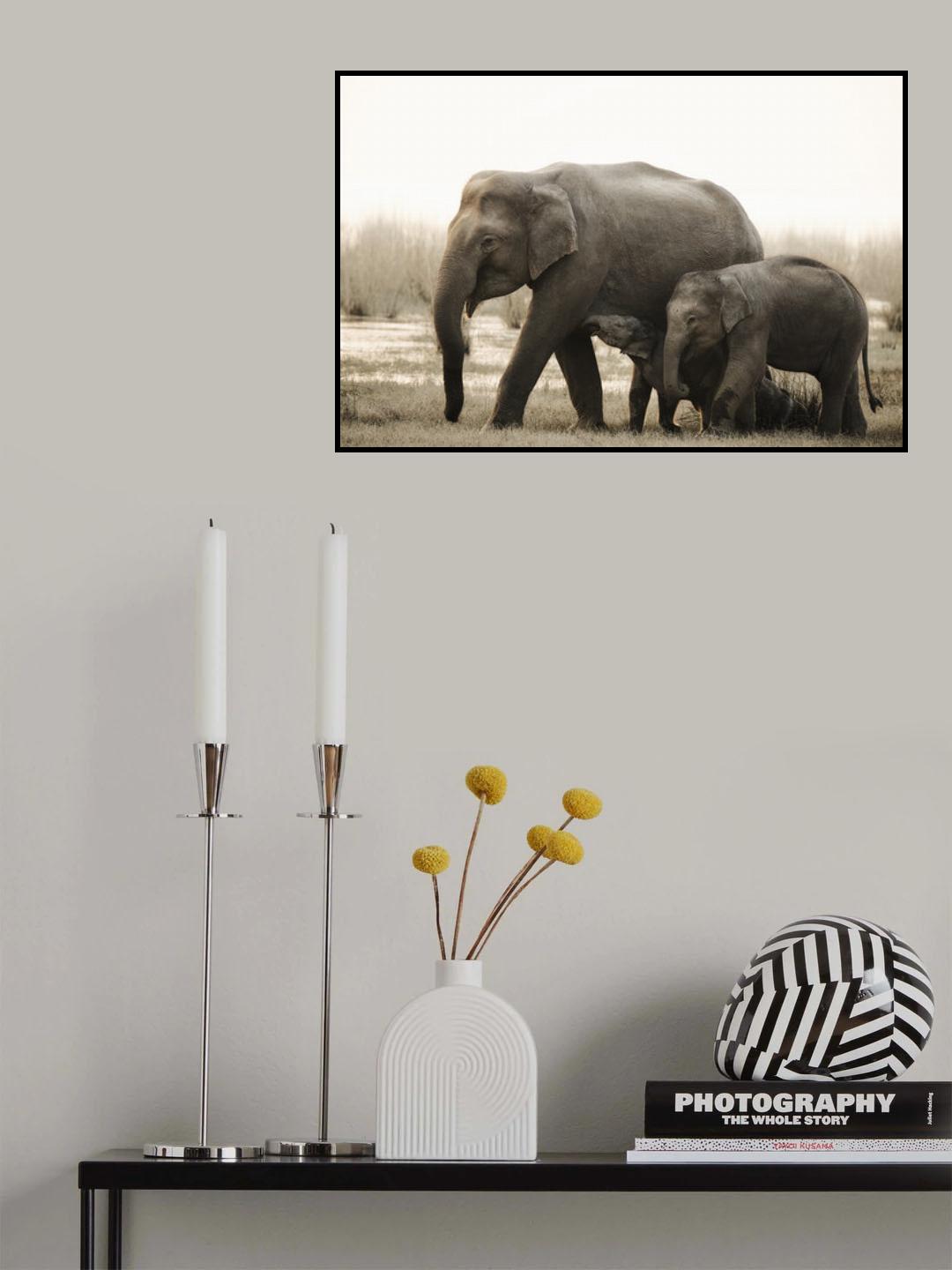 family portrait Poster och Canvastavla
