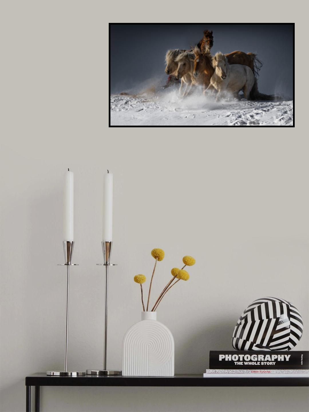 Five Horses Poster och Canvastavla
