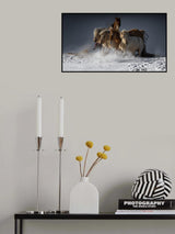 Five Horses Poster och Canvastavla