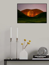 Magnolia Poster och Canvastavla