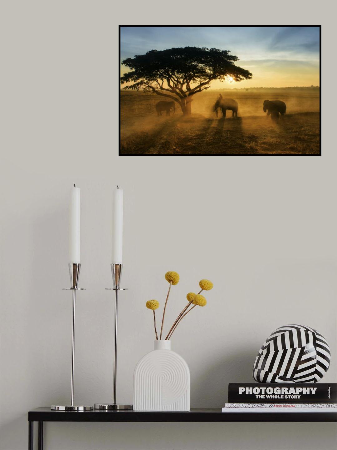 Morning elephant home town Poster och Canvastavla