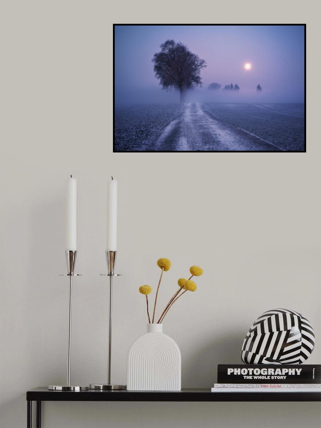 Moonlit Path Poster och Canvastavla