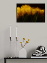 Easter tulips ll Poster och Canvastavla