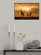 Golden Africa Poster och Canvastavla