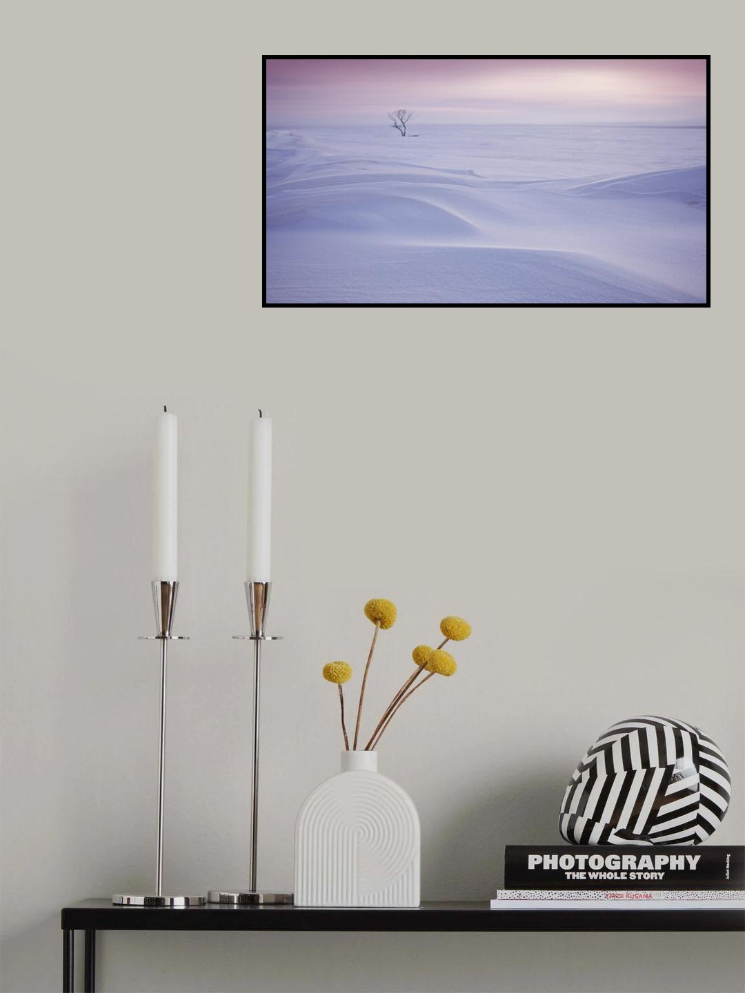 Trees in the morning Poster och Canvastavla