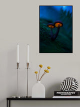 Glowing mushrooms Poster och Canvastavla