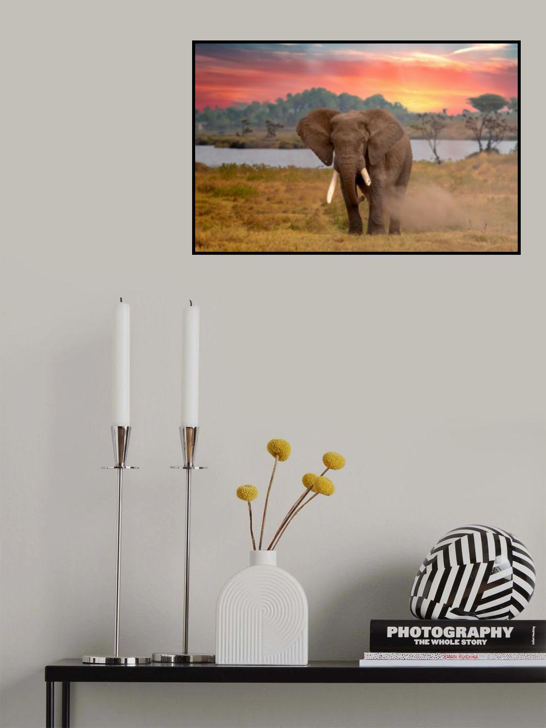 Savanna Poster och Canvastavla