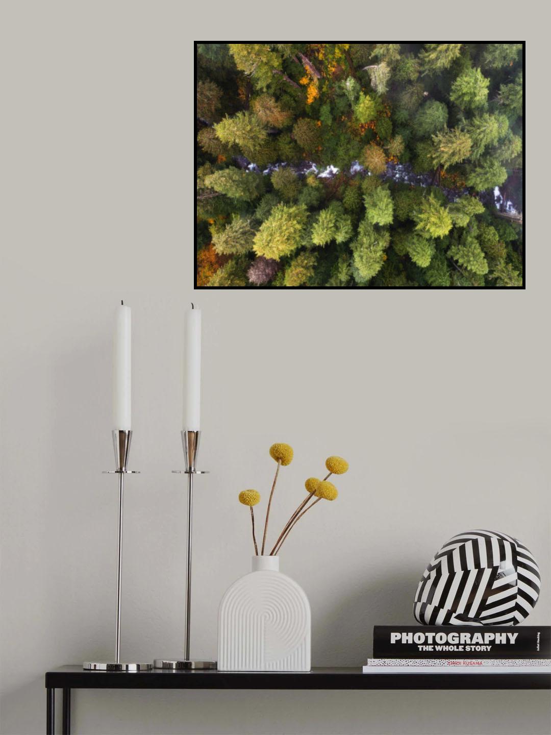 Autumn Beauty Poster och Canvastavla