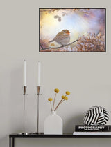 Robin on dreams Poster och Canvastavla