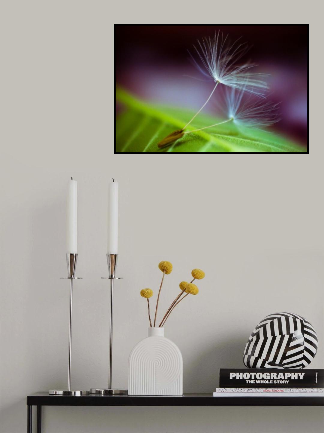 two lovers Poster och Canvastavla