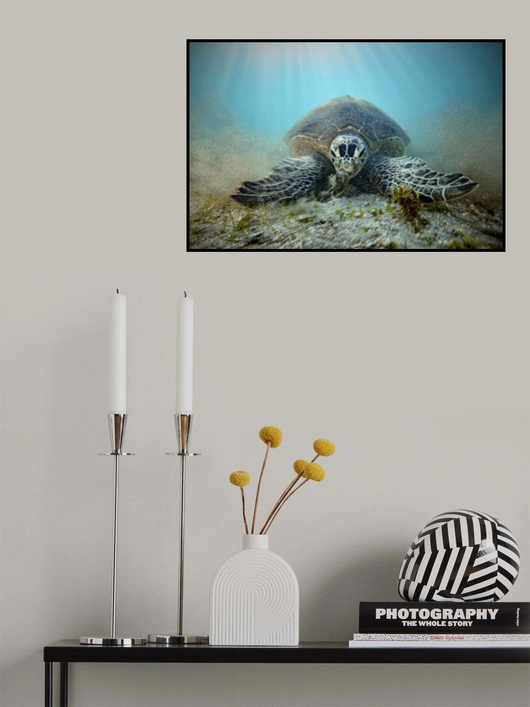 Starving Poster och Canvastavla