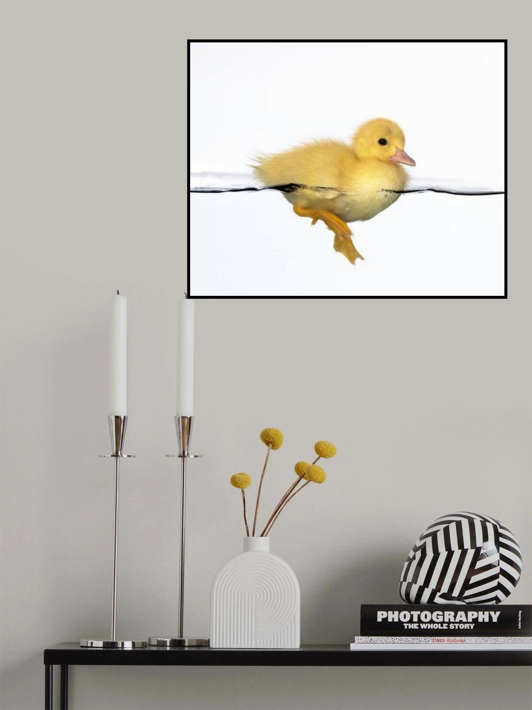 Patito amarillo Poster och Canvastavla