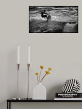 ~~ -/- ~~~~ Poster och Canvastavla