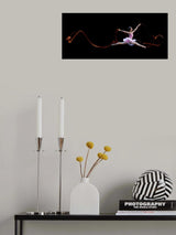 Perfect Jump Poster och Canvastavla