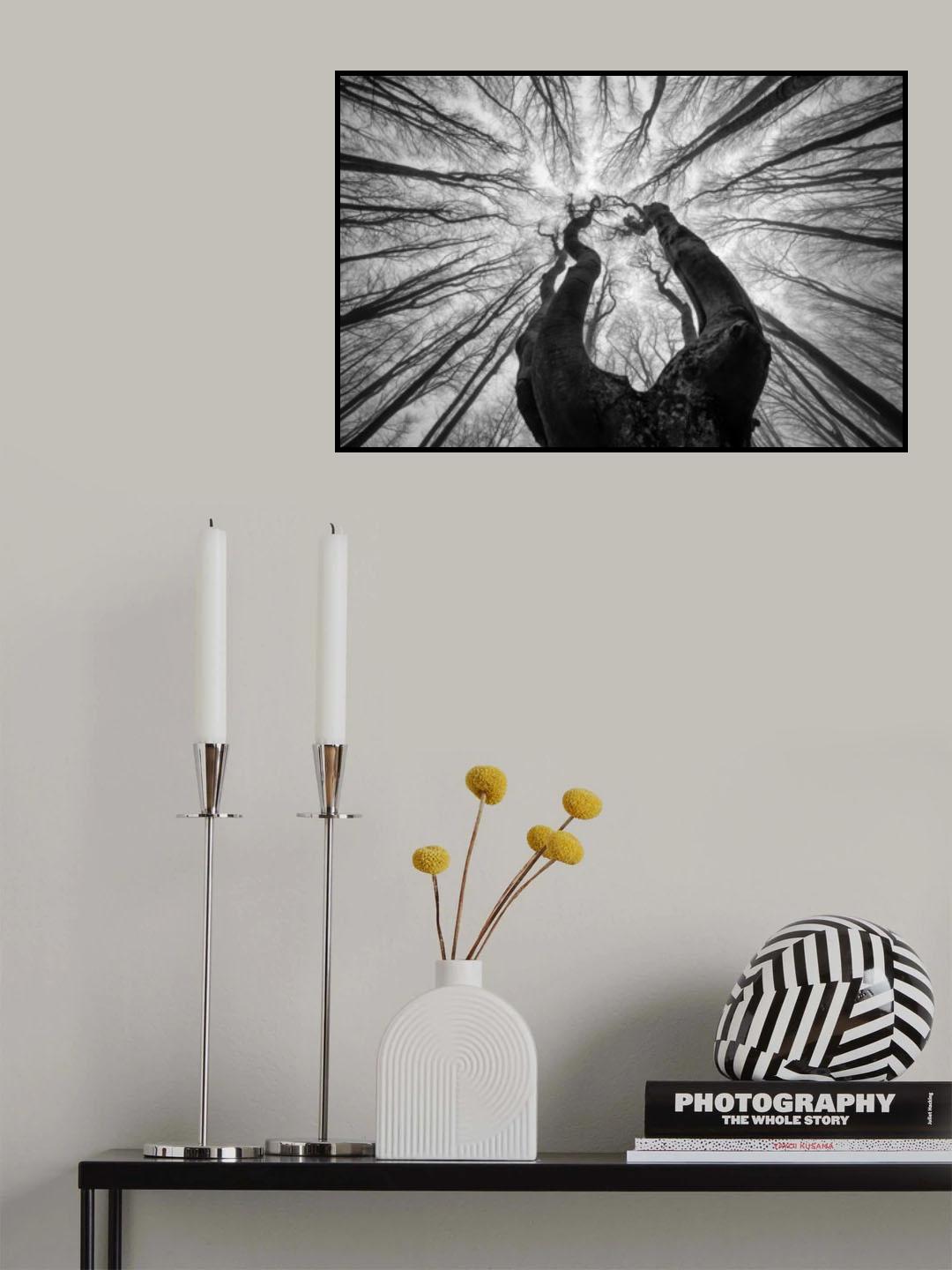 A look to the sky Poster och Canvastavla