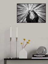 A look to the sky Poster och Canvastavla
