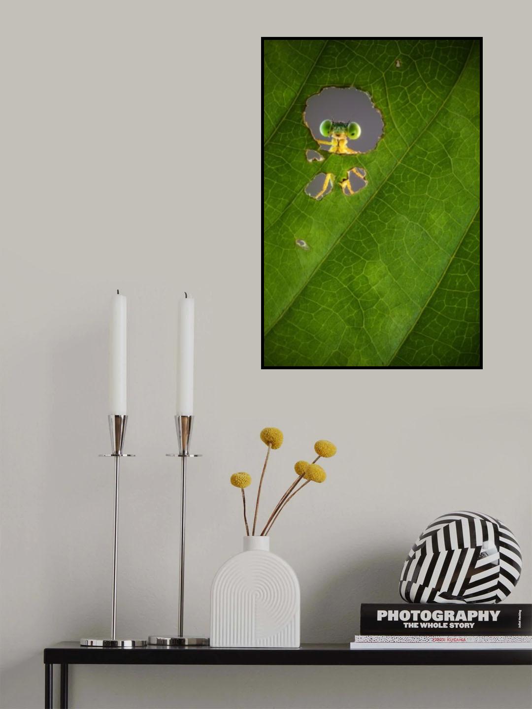 Nature frame Poster och Canvastavla