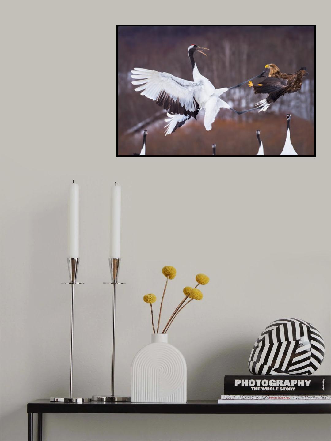 Samurai crane Poster och Canvastavla
