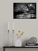 At night Poster och Canvastavla