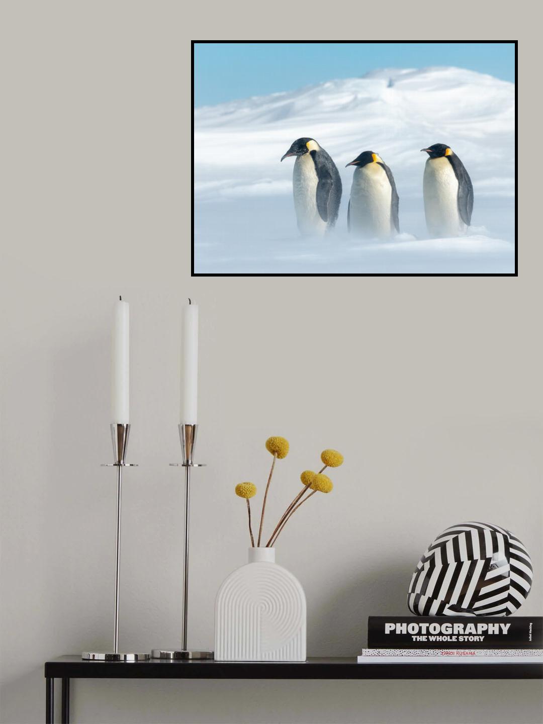 STAY TOGETHER Poster och Canvastavla