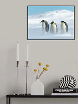STAY TOGETHER Poster och Canvastavla