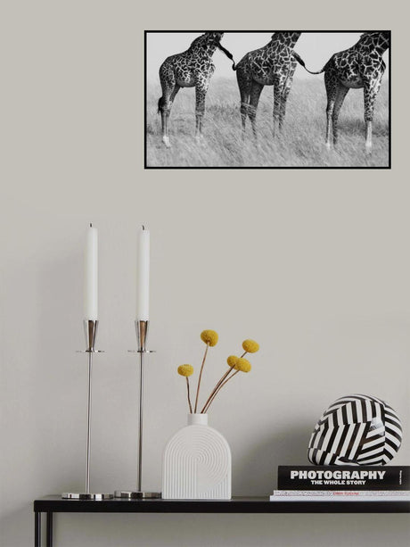 Wild Connection Poster och Canvastavla
