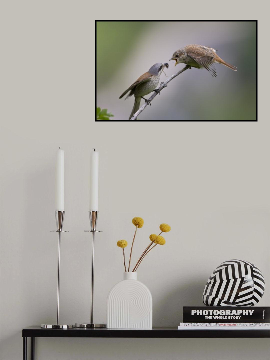 Service Poster och Canvastavla